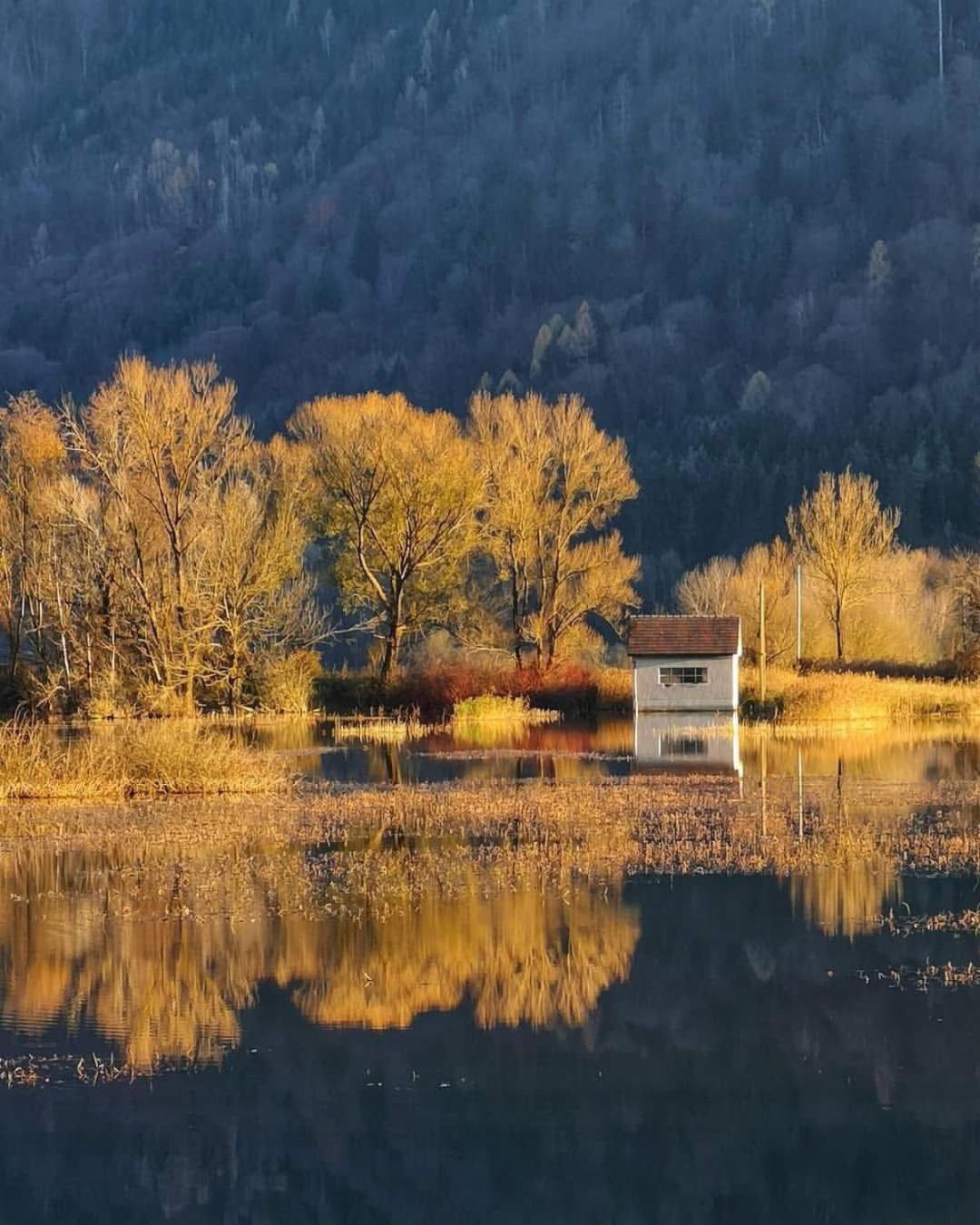 Ferienwohnung Resi Mit Traumhaftem Seepanorama Steindorf am Ossiacher See Luaran gambar