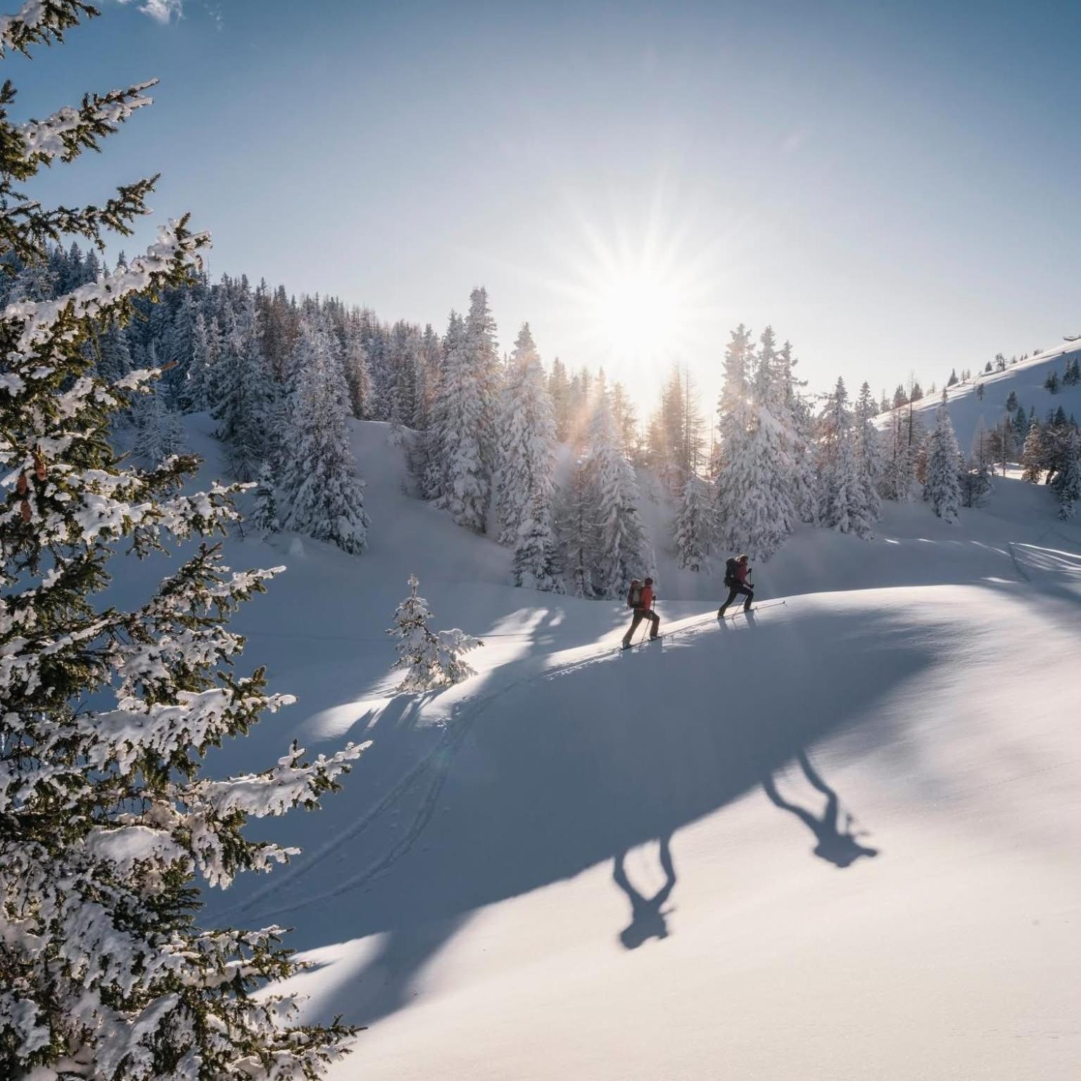 Ferienwohnung Resi Mit Traumhaftem Seepanorama Steindorf am Ossiacher See Luaran gambar