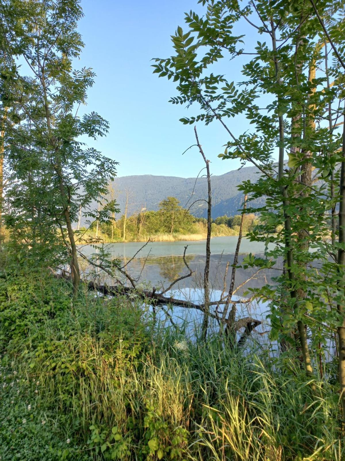 Ferienwohnung Resi Mit Traumhaftem Seepanorama Steindorf am Ossiacher See Luaran gambar