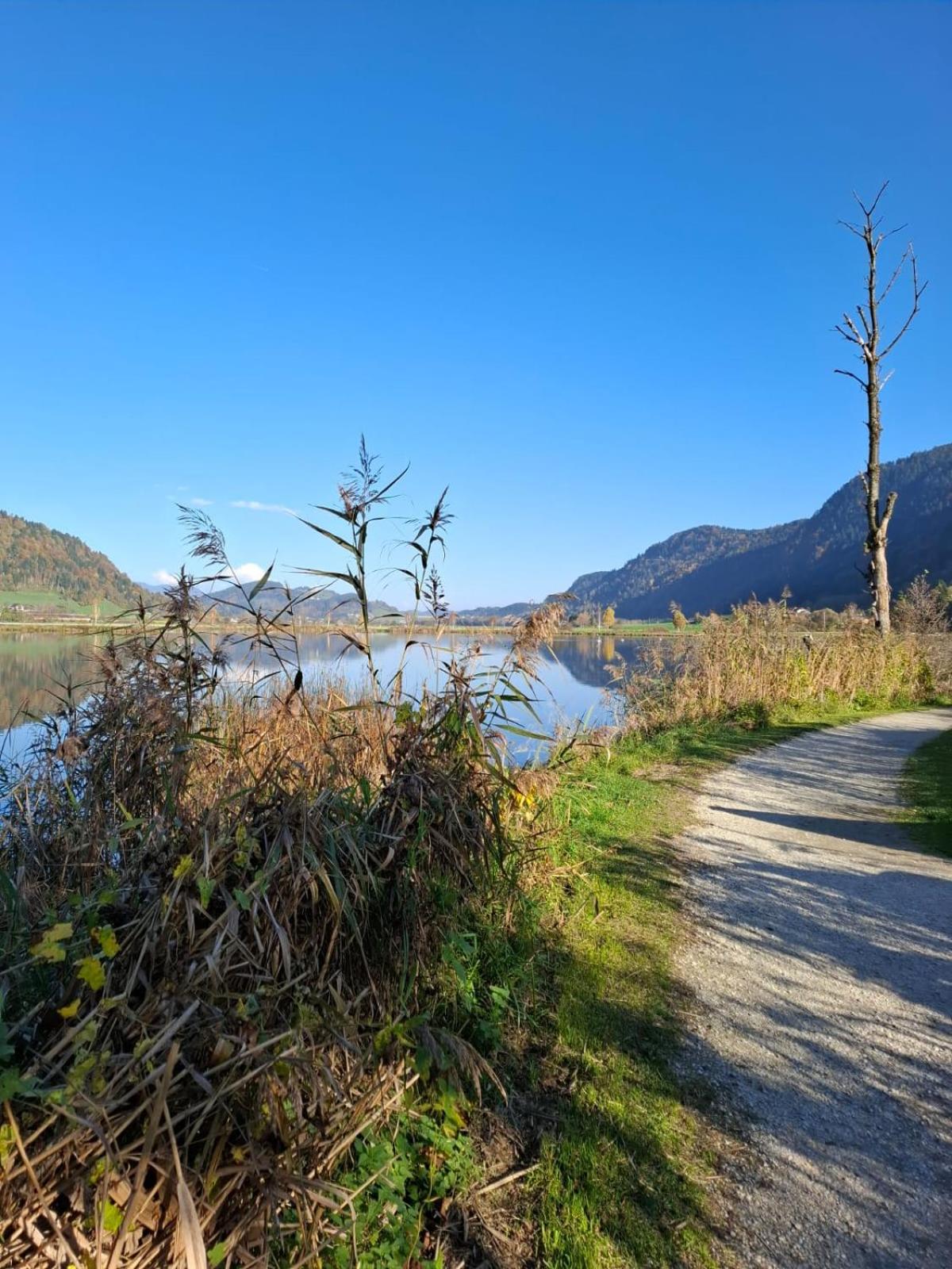 Ferienwohnung Resi Mit Traumhaftem Seepanorama Steindorf am Ossiacher See Luaran gambar