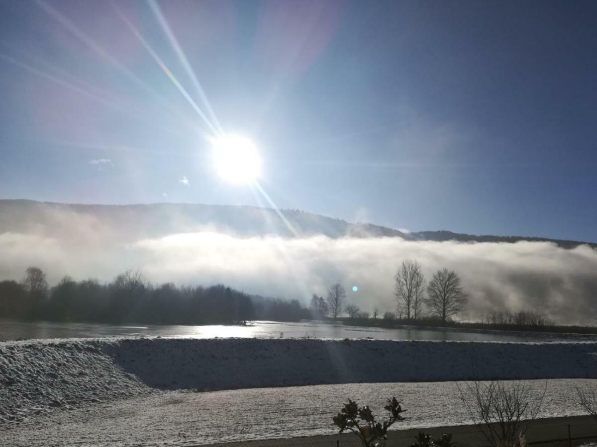 Ferienwohnung Resi Mit Traumhaftem Seepanorama Steindorf am Ossiacher See Luaran gambar