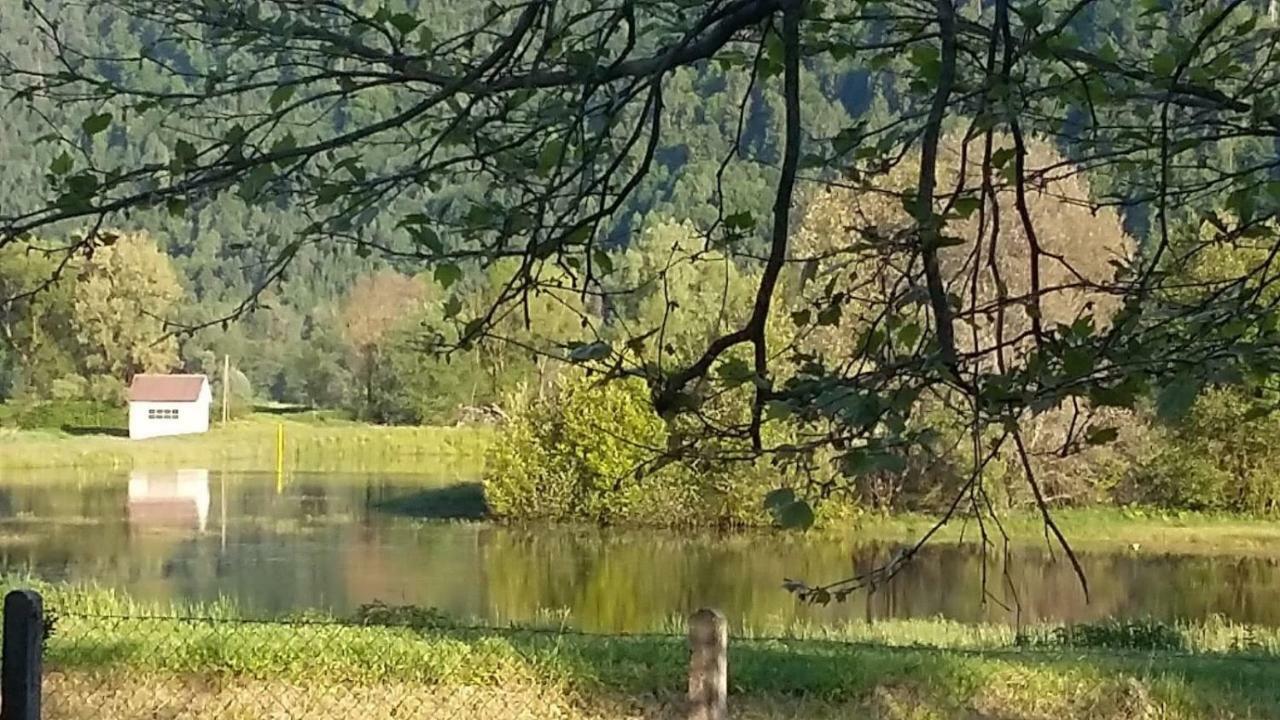 Ferienwohnung Resi Mit Traumhaftem Seepanorama Steindorf am Ossiacher See Luaran gambar