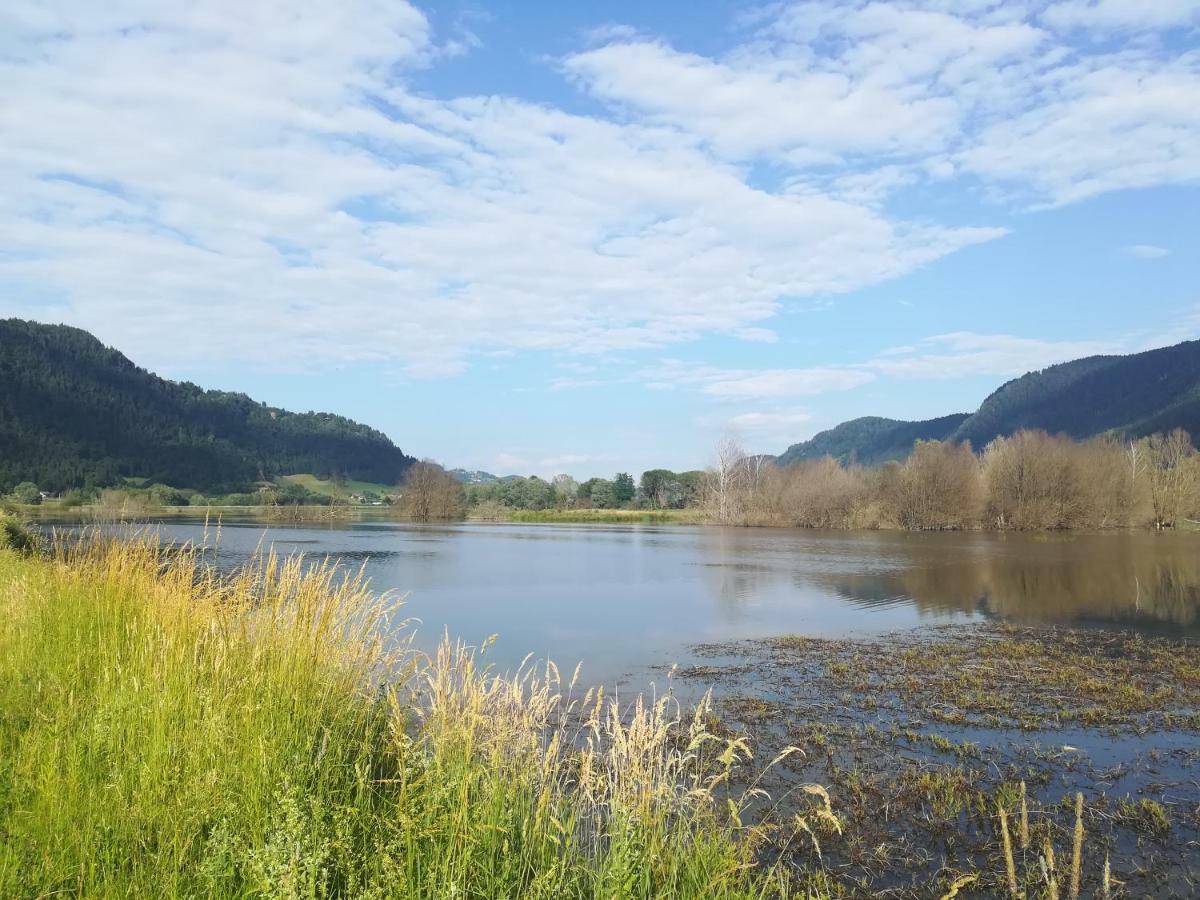 Ferienwohnung Resi Mit Traumhaftem Seepanorama Steindorf am Ossiacher See Luaran gambar