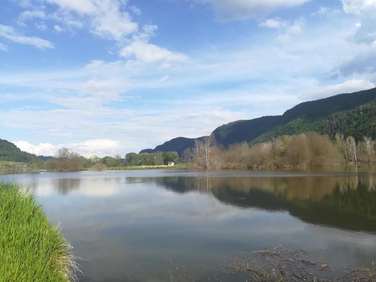 Ferienwohnung Resi Mit Traumhaftem Seepanorama Steindorf am Ossiacher See Luaran gambar